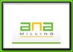 ANA MİLLİNG