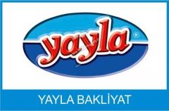 YAYLA BAKLİYAT